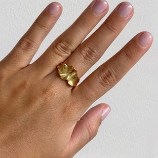 Cassia ring